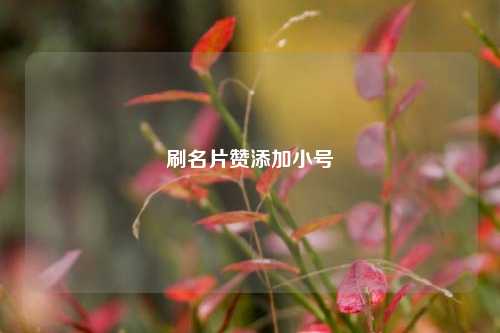 刷名片赞添加小号