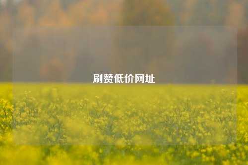 刷赞低价网址