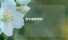 快手刷赞物业