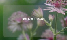 免费自助下单抖音