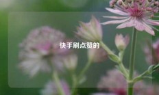 快手刷点赞的