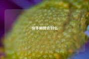 快手刷赞会封么