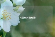 飞信刷抖音点赞