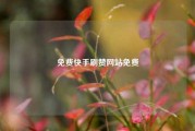 免费快手刷赞网站免费