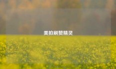 美拍刷赞精灵