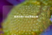 南充抖音广告运营怎么推