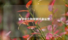 留学中介如何做抖音运营