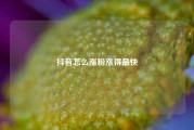 抖音怎么涨粉涨得最快