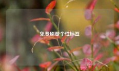 免费刷赞个性标签