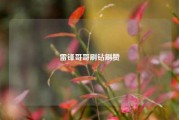 雷锋哥哥刷钻刷赞
