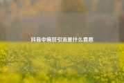 抖音中疯狂引流是什么意思