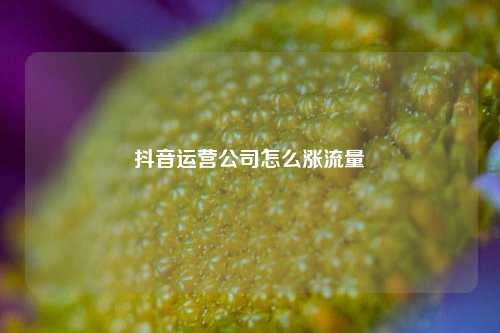 抖音运营公司怎么涨流量