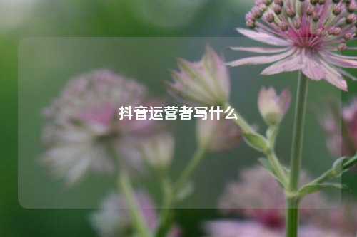 抖音运营者写什么