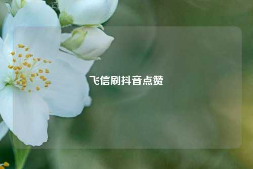 飞信刷抖音点赞