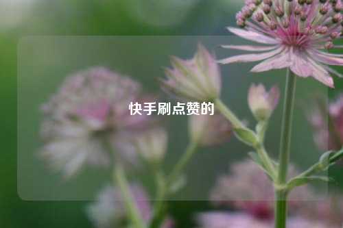 快手刷点赞的
