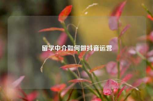 留学中介如何做抖音运营
