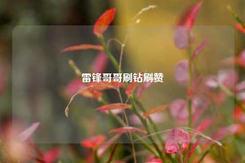雷锋哥哥刷钻刷赞