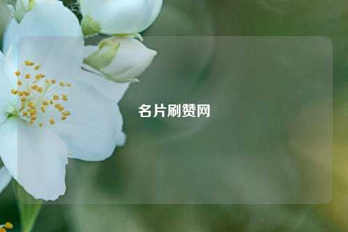 名片刷赞网